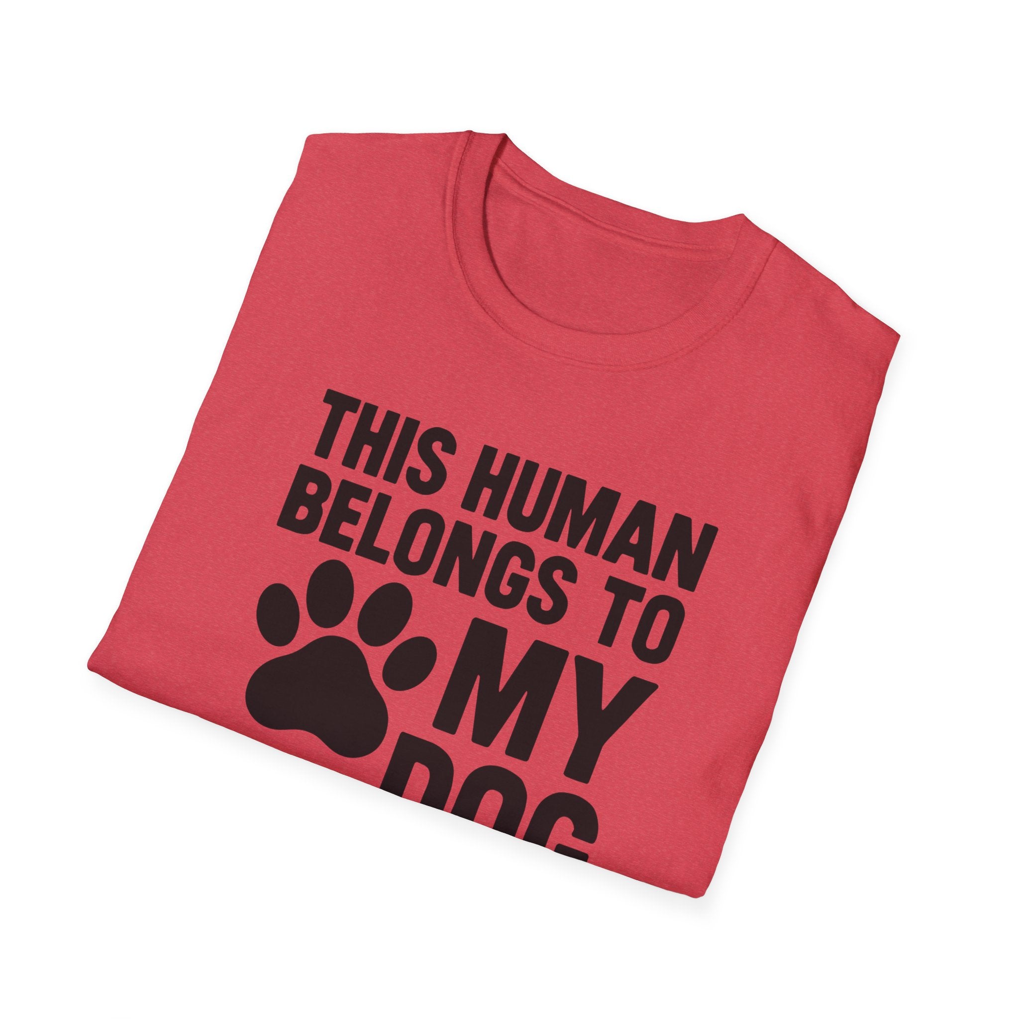 This Human Belongs to My Dog T-Shirt
